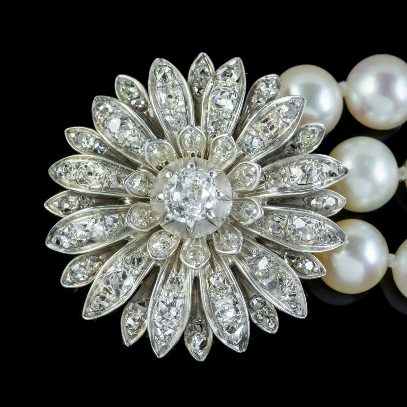 Antique Edwardian Triple Pearl Necklace 3Ct Diamond Flower Clasp Silver 18Ct Gold Circa 1905