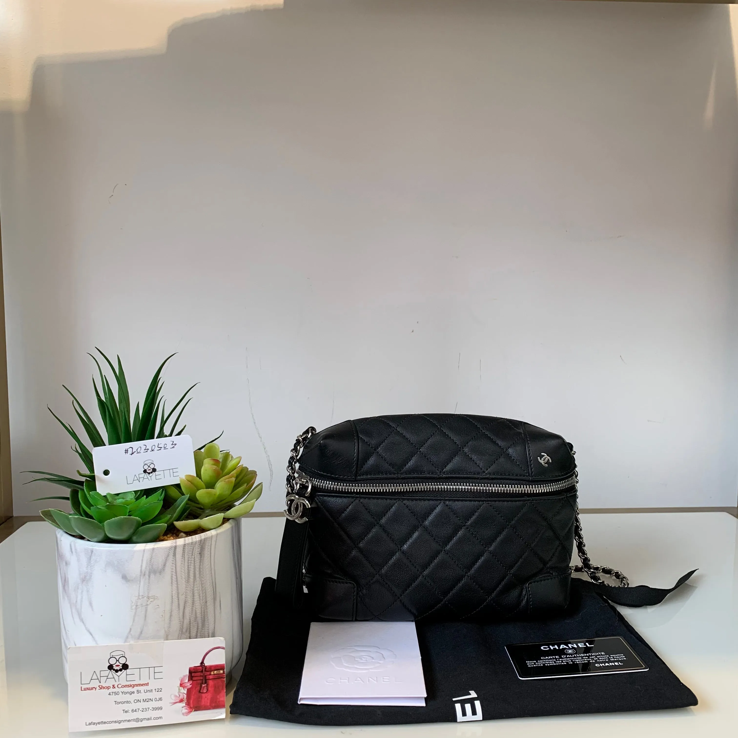 Chanel Camera Bag