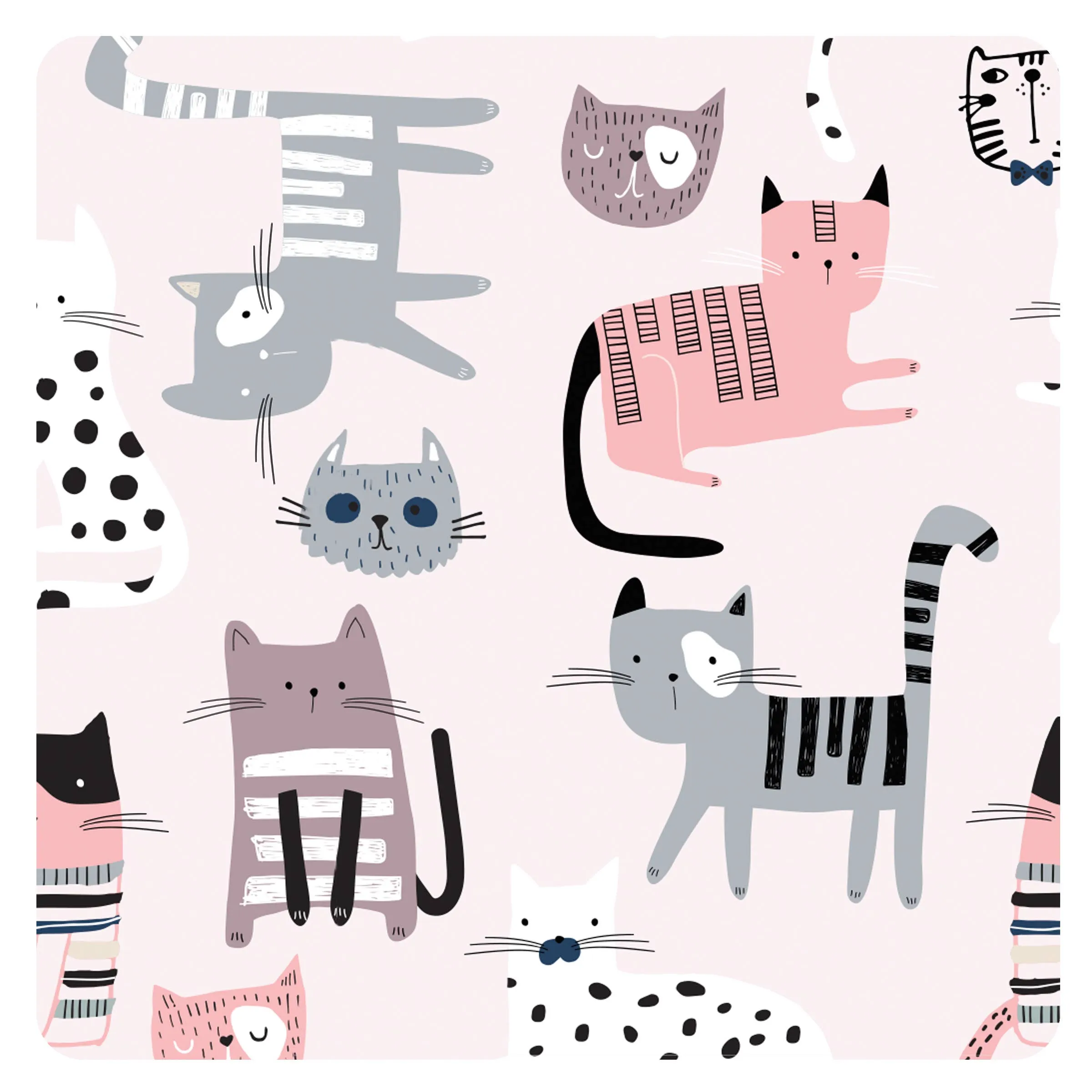 Kitty Bapron