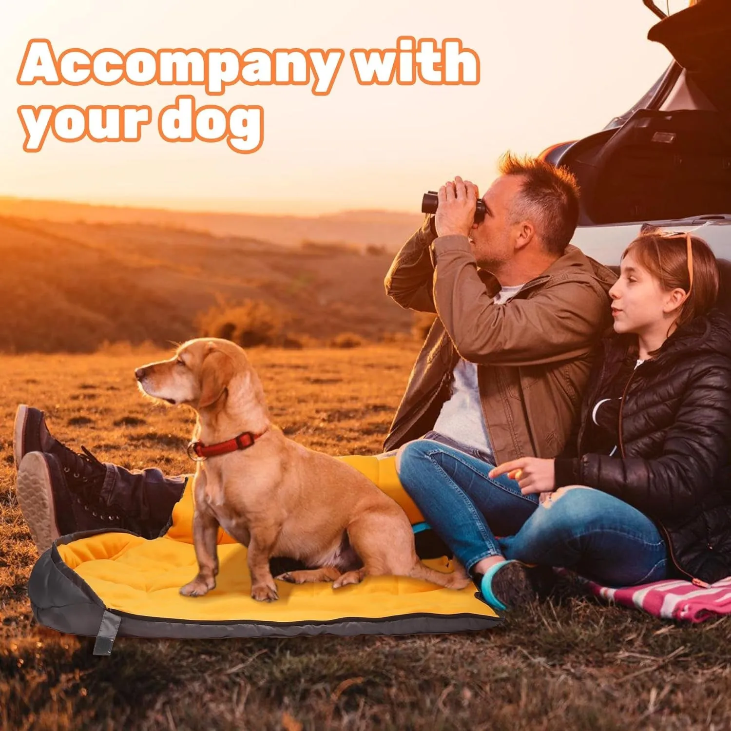Lifeunion Dog Sleeping Bag: Essential for Comfortable Camping