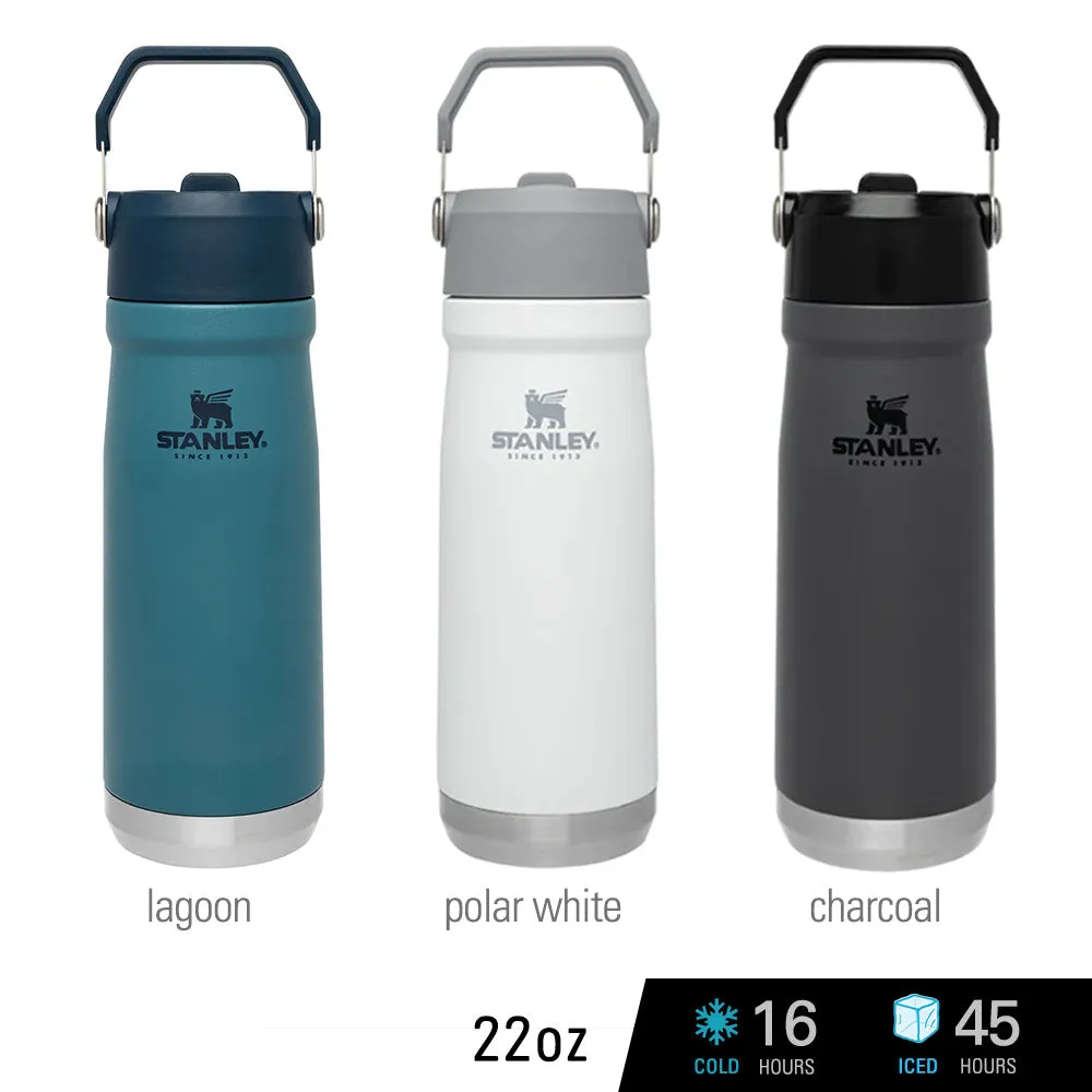 Stanley IceFlow Flip Straw Water Bottle Vacuum Insulated Tumbler 17 oz.-22 oz.