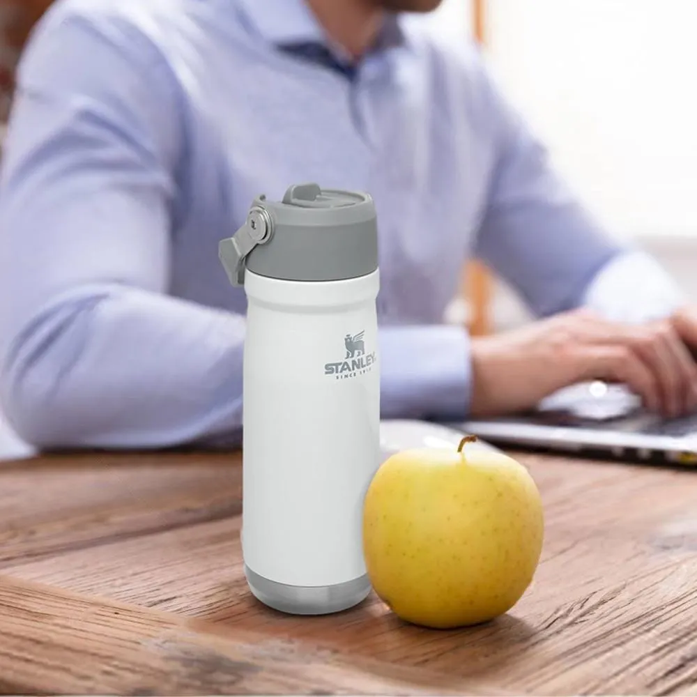 Stanley IceFlow Flip Straw Water Bottle Vacuum Insulated Tumbler 17 oz.-22 oz.