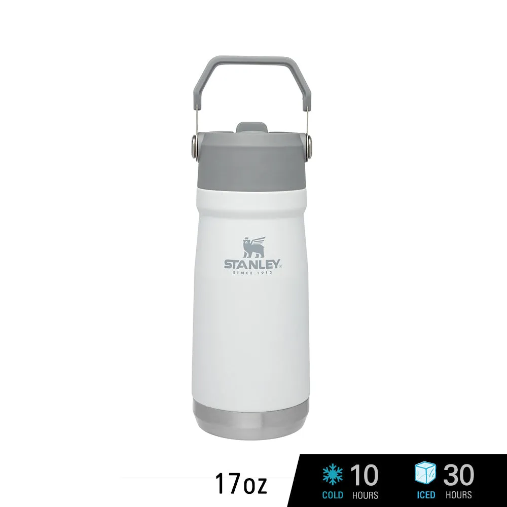Stanley IceFlow Flip Straw Water Bottle Vacuum Insulated Tumbler 17 oz.-22 oz.