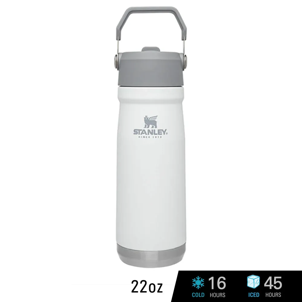 Stanley IceFlow Flip Straw Water Bottle Vacuum Insulated Tumbler 17 oz.-22 oz.