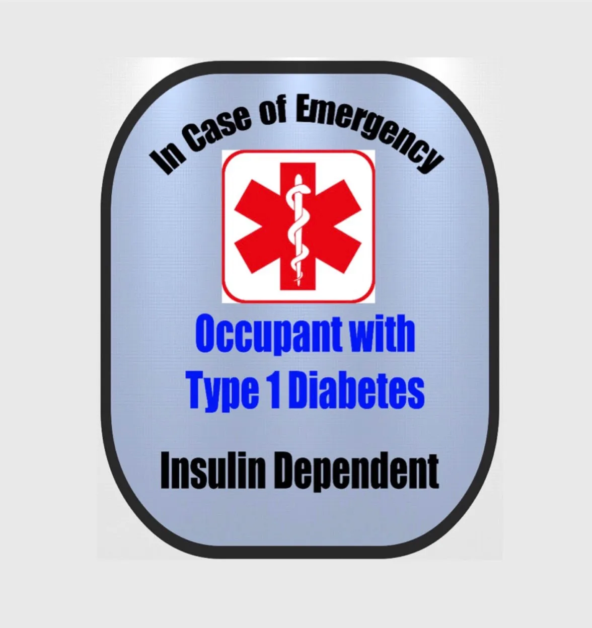 Type 1 Diabetic Seat Belt Cover - Window Decal Set Medical Alert